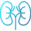 Urologist