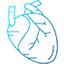 Cardiac Surgeons