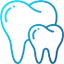 Dental Surgeon